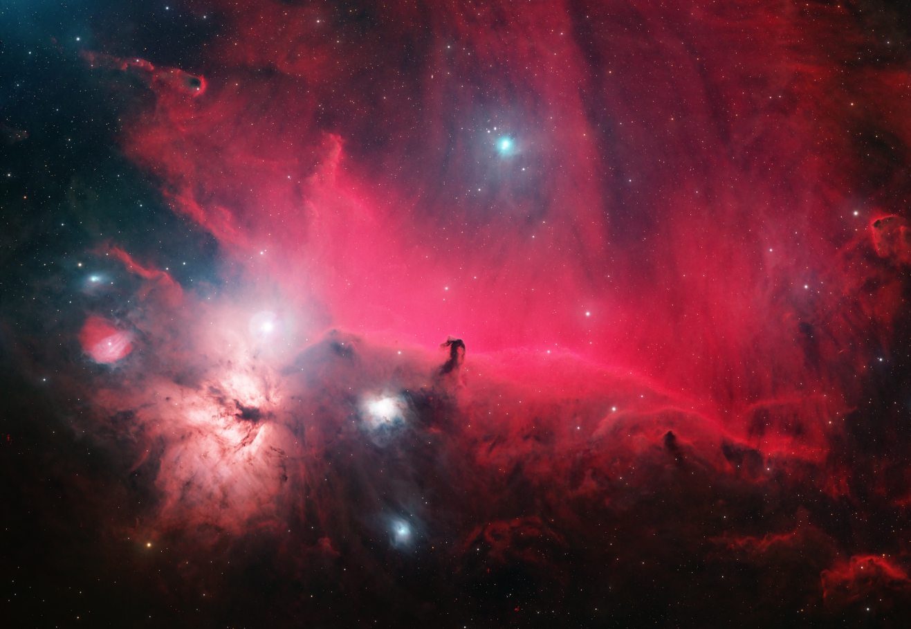 horsehead